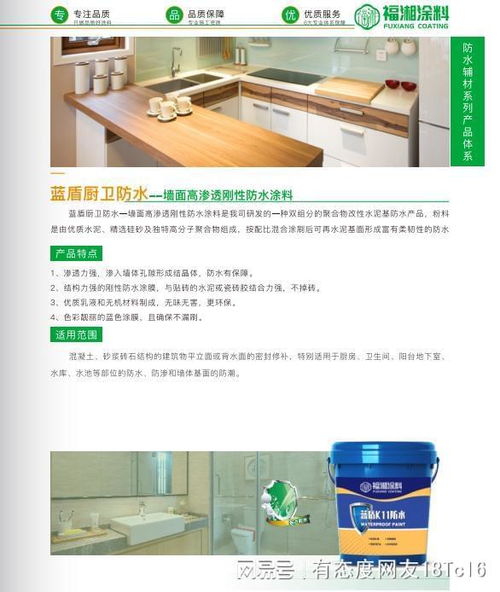從技術到服務 實力防水涂料廠家的全鏈路解析與信息技術咨詢服務